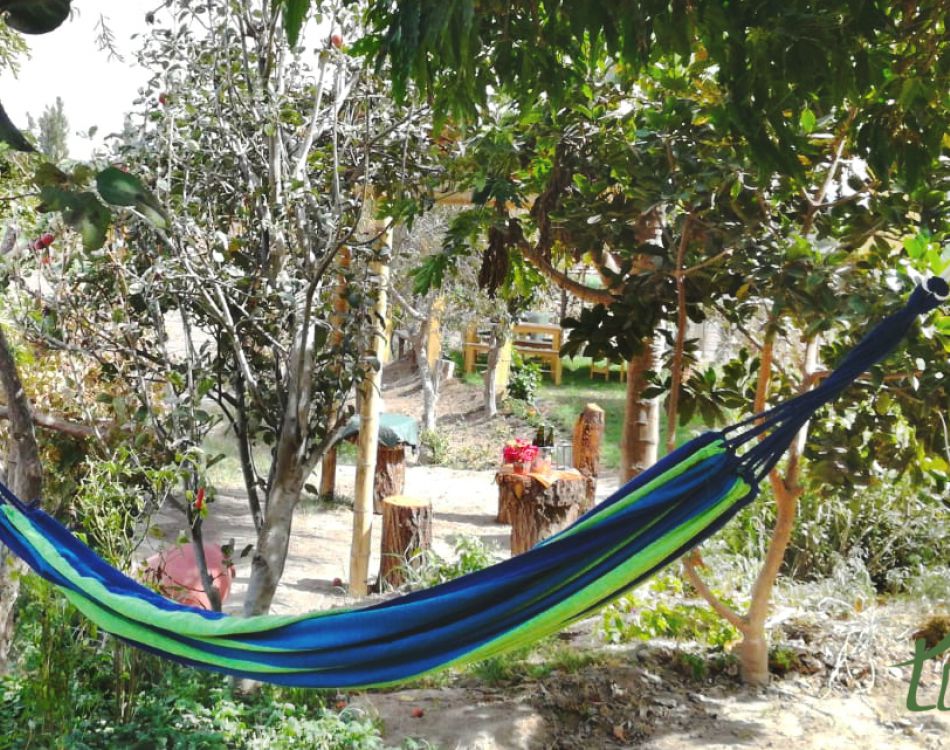 Actividades en Fundo Llutis Agroturismo